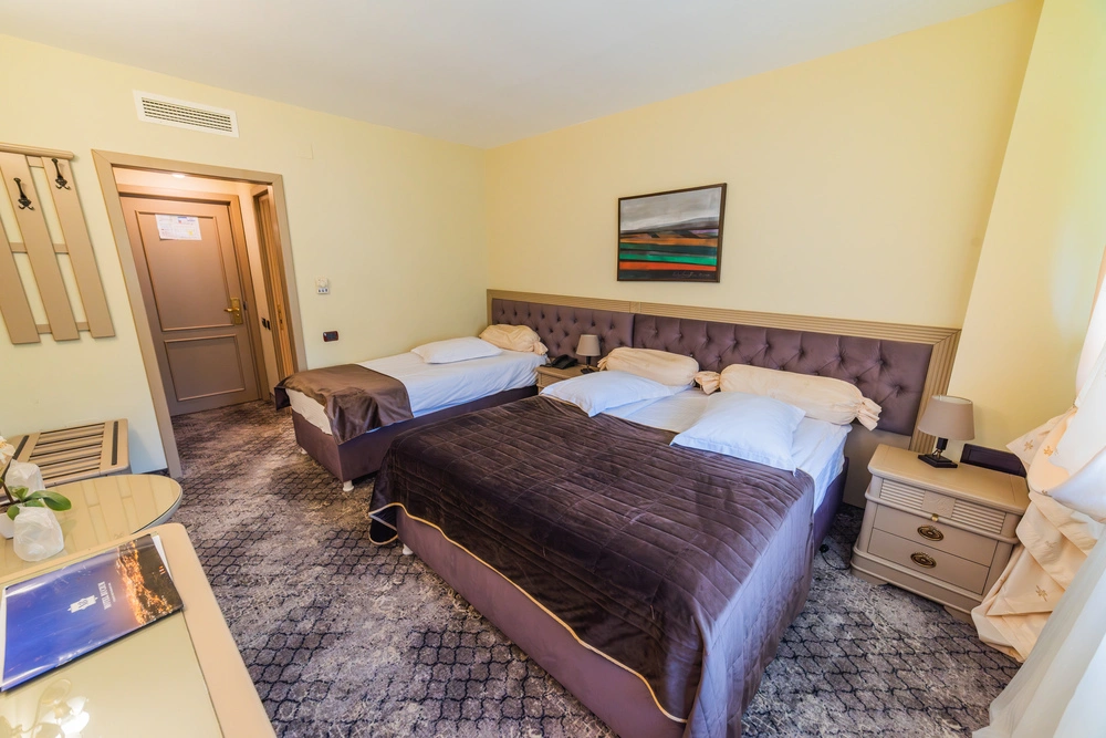 ambient-elegant-tripla-motel-bucium