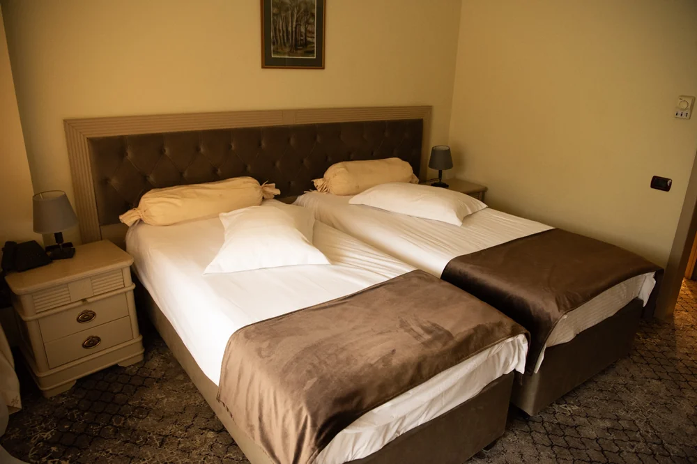 camera-twin-vedere-apropiata-1-twin-motel-bucium